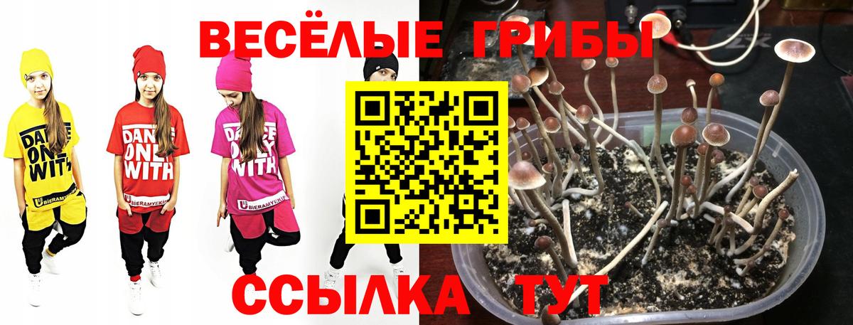 Галлюциногенные грибы мухоморы Выборг